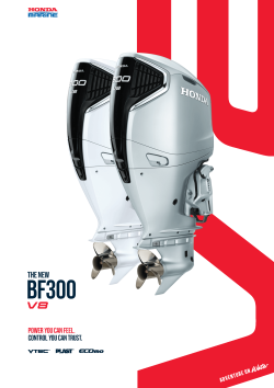 Honda Marine BF300