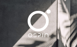 OSPIN Design & Build brand design and strategy